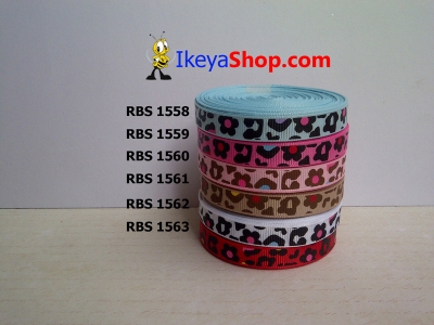 Pita RBS 1558 1563  large2